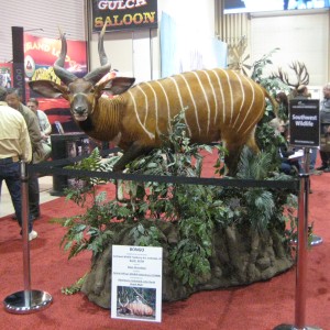 Taxidermy at Safari Club International Convention