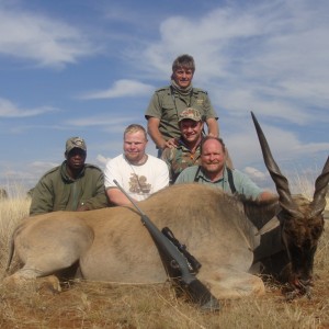 Cape Eland