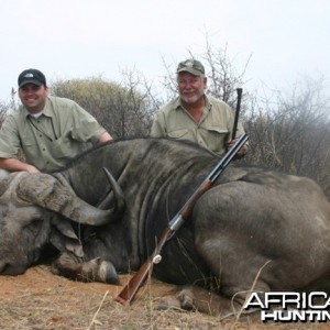 Hunting Buffalo Namibia