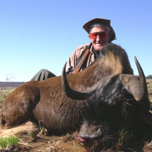 Hunting Black Wildebeest