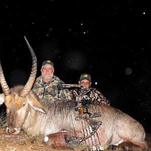 Bowhunting Waterbuck South Africa