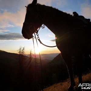 Hunting Big Horn Sheep in Southern British Columbia Canada