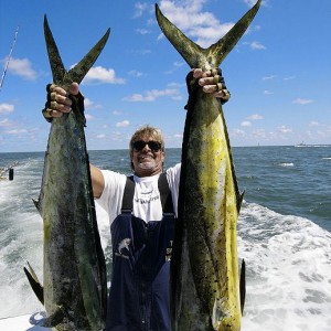 Fishing Monster Mahi & Shark