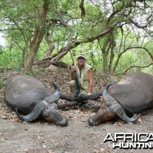 Northwestern Buffalo - Hunting Central africa