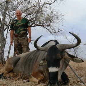 Nyasaland gnu - Hunting in Tanzania