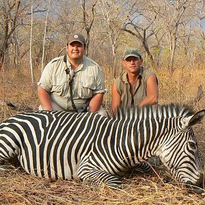 Zebra from Tanzania