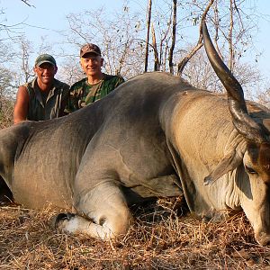 Eland Hunt - Tanzania