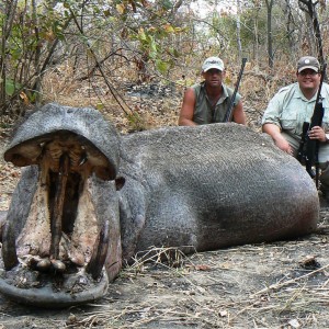 28" hippo.... all shot on land, good sport!!