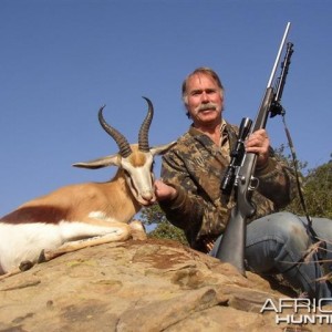 Common Springbok