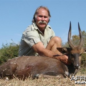 Cape Bushbuck