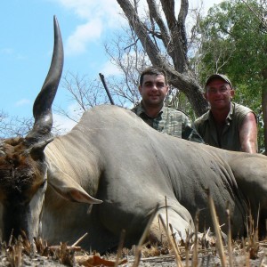 East african eland Tanzania