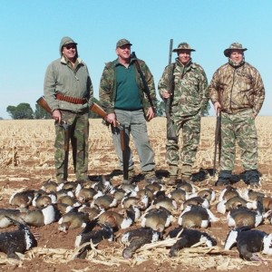 Dryland Waterfowling