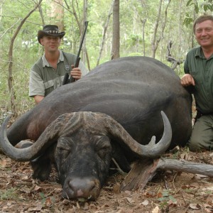 Hunting Buffalo - Selous Game Reserve