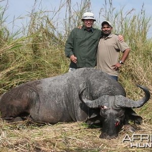 Buffalo Tanzania