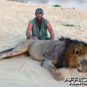 Big mane lion from Tanzania