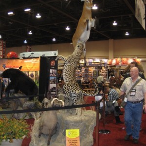 Taxidermy at Safari Club International Convention