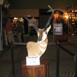 Taxidermy at Safari Club International Convention