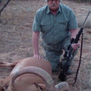 Aoudad Texas