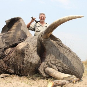 Caprivi Elephant Bull