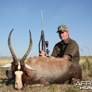 Common Blesbok