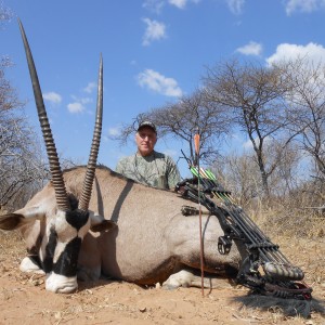 34'' bull gemsbok