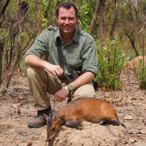 Red-Flanked Duiker