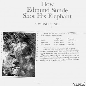 Edmond Sunde 180 pounds Elephant