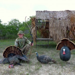 Recurve Turkey 2013