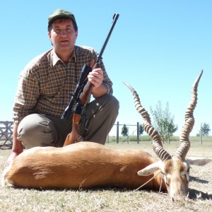 Argentina Black Buck