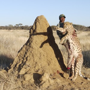 Cheetah hunted with Ozondjahe Hunting Safaris Namibia