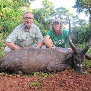 Sitatunga Cameroon