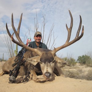 Sonoran Desert Mule deer