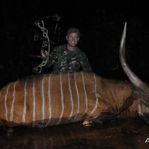 Bongo hunt with CAWA in CAR