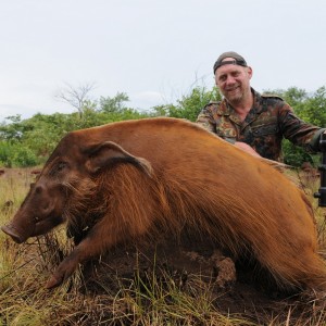 Red River Hog hunt with CAWA in CAR