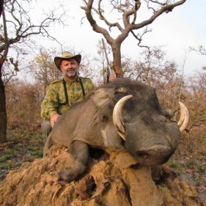 Warthog hunt with CAWA in CAR