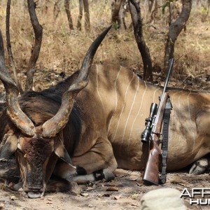 Lord Derby Eland hunt with CAWA in CAR