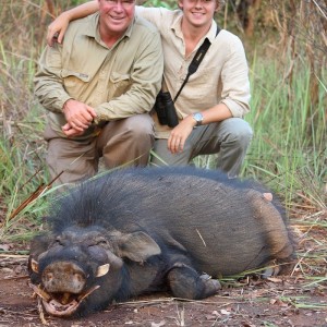 Giant Forest Hog hunt with CAWA in CAR