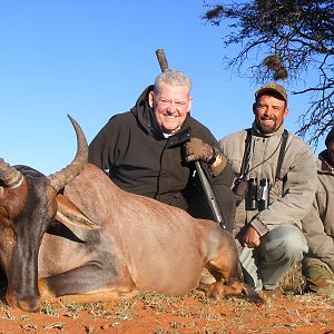 Tsessebe hunt with Wintershoek Johnny Vivier Safaris