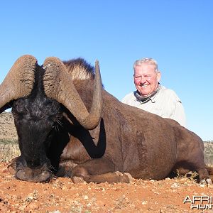 Black Wildebeest hunt with Wintershoek Johnny Vivier Safaris