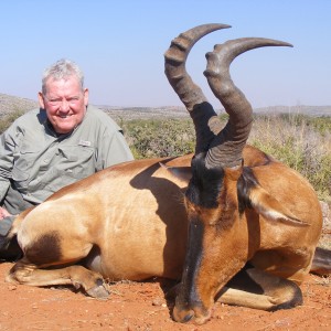 Hartebeest hunt with Wintershoek Johnny Vivier Safaris