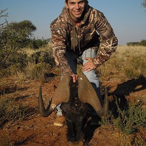 Black Wildebeest hunt with Wintershoek Johnny Vivier Safaris