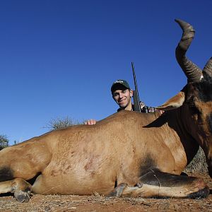 Hartebeest hunt with Wintershoek Johnny Vivier Safaris