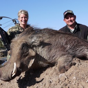 Warthog hunt with Wintershoek Johnny Vivier Safaris