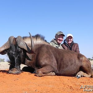 Black Wildebeest hunt with Wintershoek Johnny Vivier Safaris