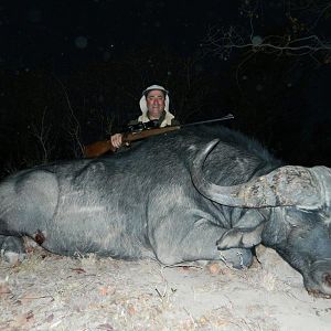 Cape Buffalo