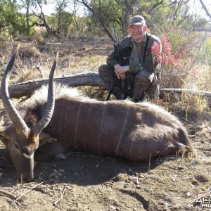 A nice Nyala from Bos en Dal