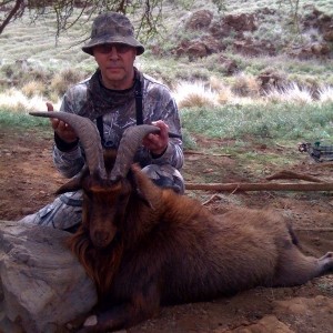 Media 'Goat' in category 'Bowhunting Worldwide'