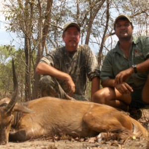 17-1/2'' chobi bushbuck mozambique