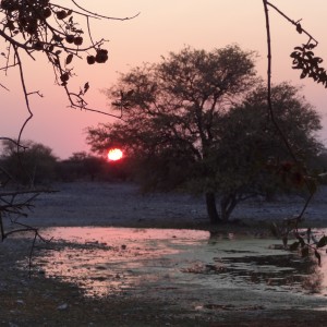 Kanana Safari 2013