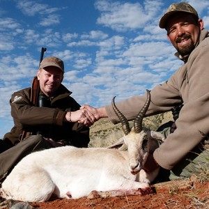 White Springbok hunt with Wintershoek Johnny Vivier Safaris